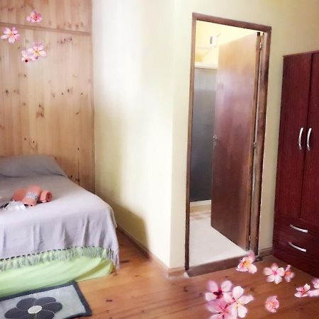 伊瓜苏港 杜鹃广场旅馆旅舍 外观 照片